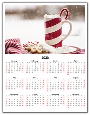 2023 Calendar - 8.5 x 11 Laminated