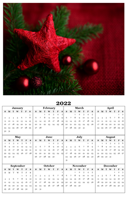2022 Calendar - 5.5 x 8.5 Laminated